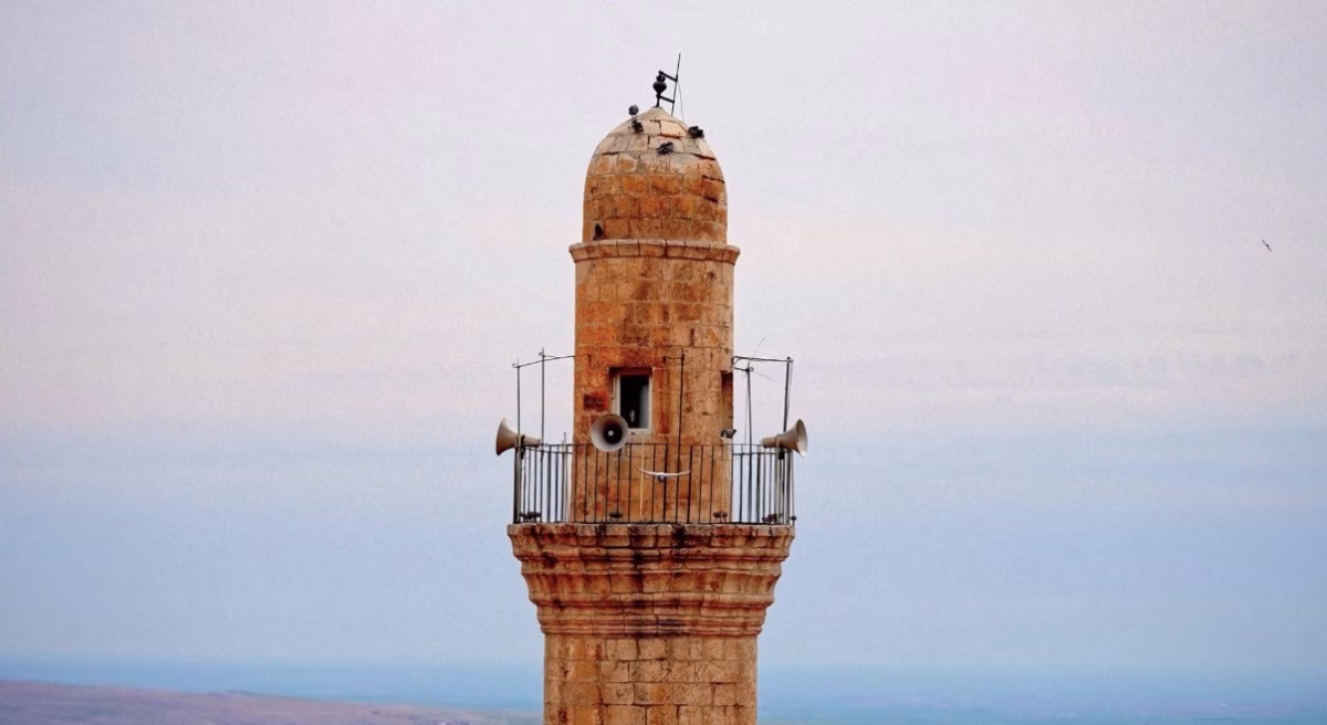 Mardin türküsünü işitme engelliler için işaret diliyle söylediler