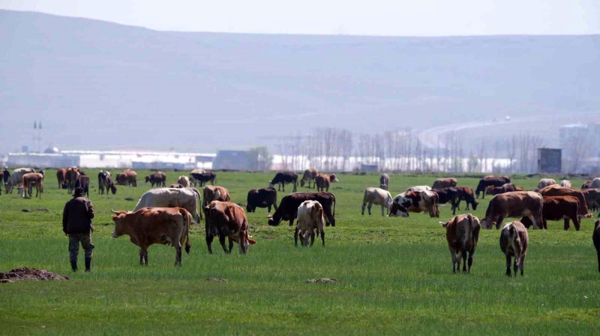 Erzurum’da kırsal kalkınmaya dev destek: 329 Projeye 171 Milyon TL hibe