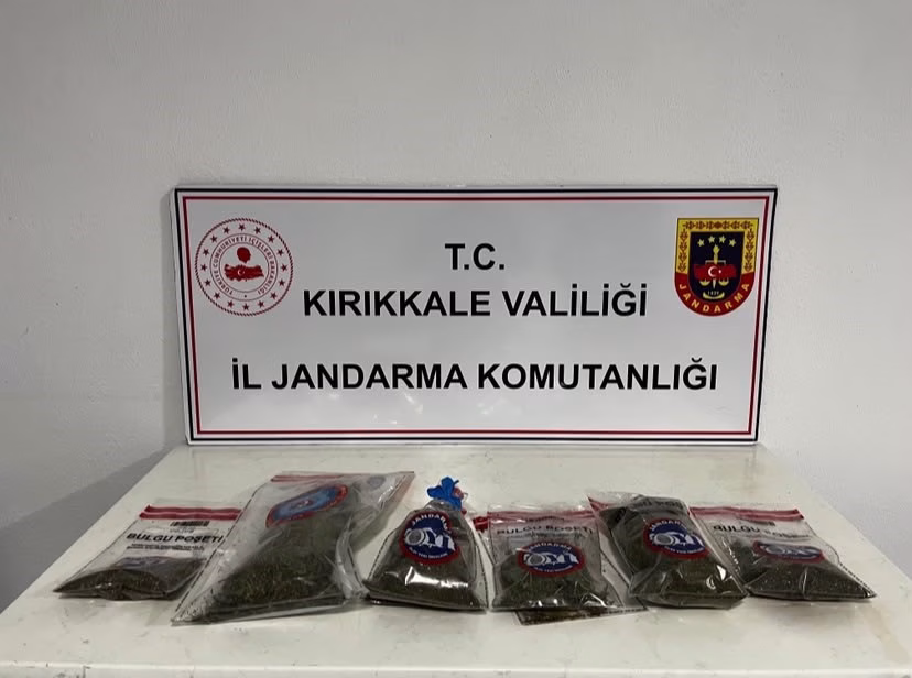 Narkotik köpeği "Evin" uyuşturucuyu tespit etti: Bahçede kenevir ve esrar ele geçirildi