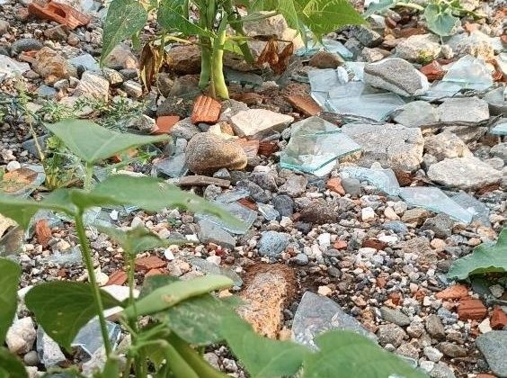 HATAY’DA ENKAZ ALANINDA FASULYE VE KABAK ÇIKTI