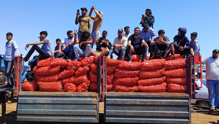 Milletvekili Güzelmansur:Çiftçi Kaderine Terk Edildi