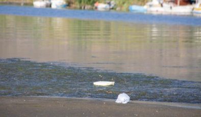 Beton atıkları nehre dökülüyor